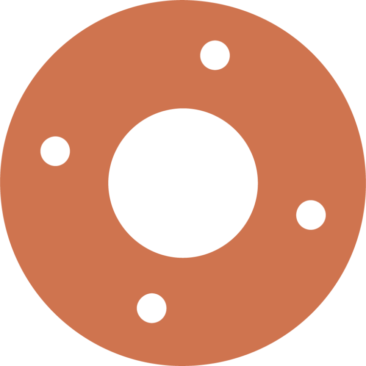 Circular Flange Gasket With Holes